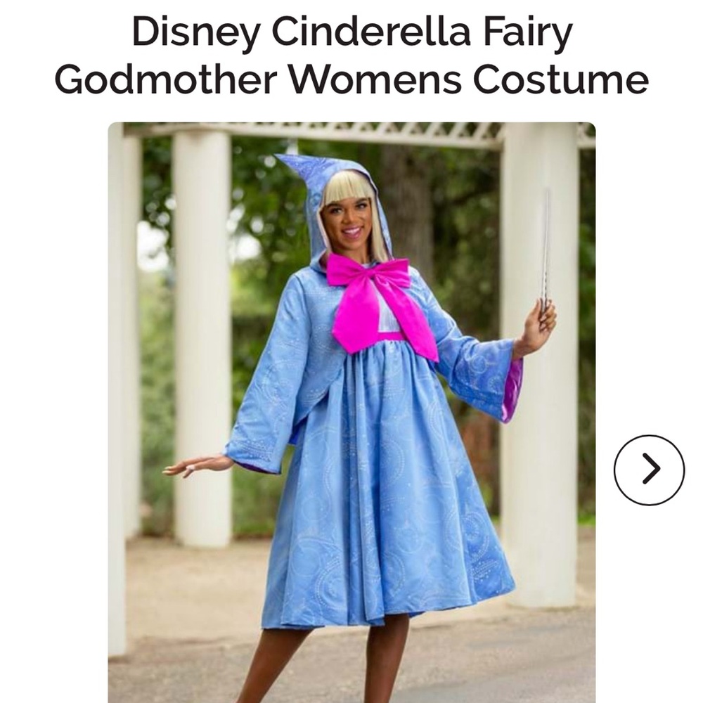 Disney Cinderella Fairy Godmother costume